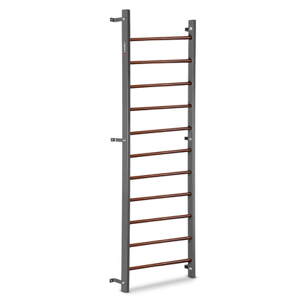 Gymnastic Wall Bars 230.5 cm with 11 Rungs for Home Gym, Wall Mounted, Graphite