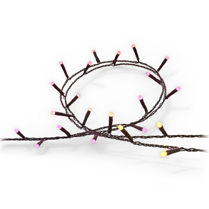 Hue Festavia light loop Indoor/outdoor 250 LED 20m