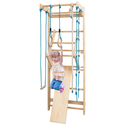 Prie sienos tvirtinamos sporto salės kopėčios, 100 kg keliamoji galia, medinės