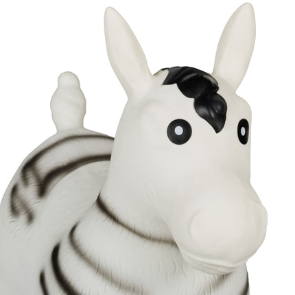Šokinėjantis zebras