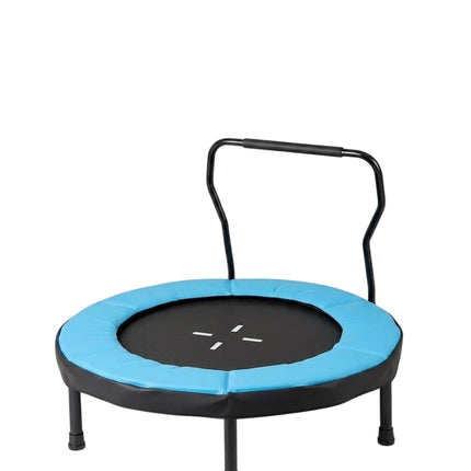 Vaikiškas batutas su rankena, 102 cm, 100 kg keliamoji galia, mėlynas