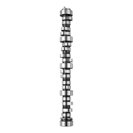 LS Truck Camshaft Kit, Cast Iron, Springs & Seals