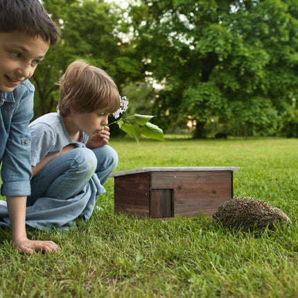 Didelis medinis ežių namas