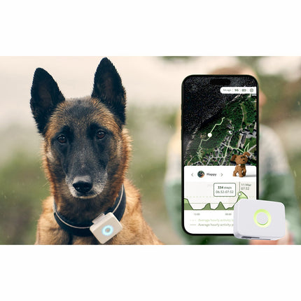 Lildog 2 GPS Tracker for Dogs
