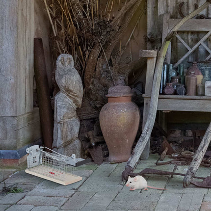 Gyvų pelių spąstų rinkinys - humaniškas graužikų gaudymas ir paleidimas