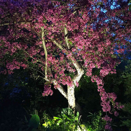 Luna Garden spot 350 lm 5W 35° Grey