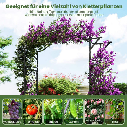 Metal Garden Arch for Climbing Plants, 170x39x210 cm, Black