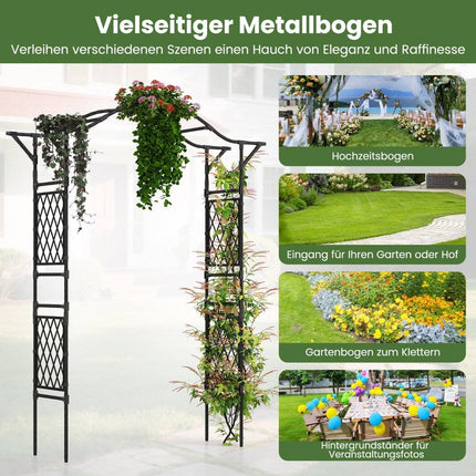 Metal Garden Arch for Climbing Plants, 170x39x210 cm, Black