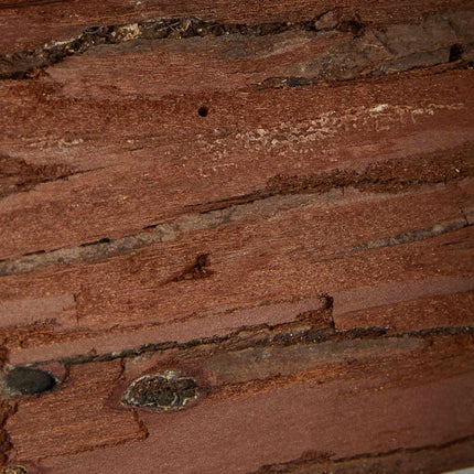 Miniholko mediena