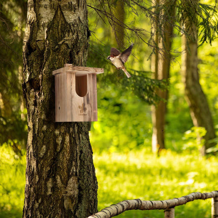 Nestbox Flamed Semi Cavity Breeder