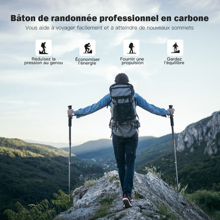 Šiaurietiško ėjimo lazdos, teleskopinės, aliuminio, 65–135 cm