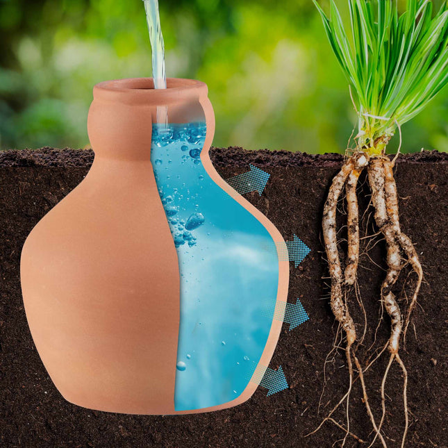 Ollas drėkinimui, 550 ml, 3 vnt. pakuotė