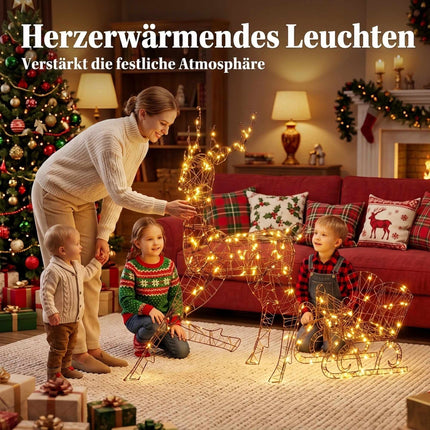 Outdoor Reindeer and Sleigh Christmas Lights, 2 Pieces, 175 LEDs, 8 Modes, Timer