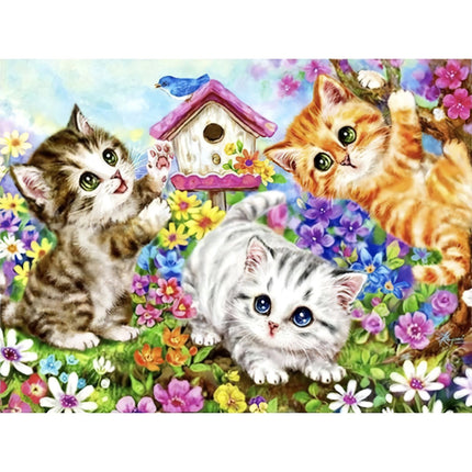Paveikslas skaičiais 40x50cm - Maaleo katės 22781