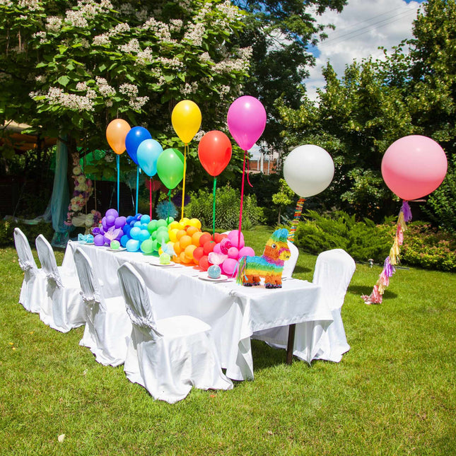 Spalvingas Pinata asilas