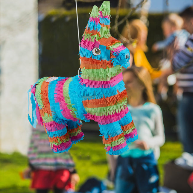 Pinata asilas įvairiaspalvis