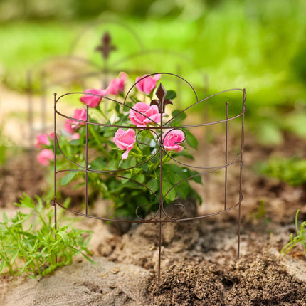 Augalų atramos, dviejų dalių geležiniai fleur-de-lis rašto kuolai