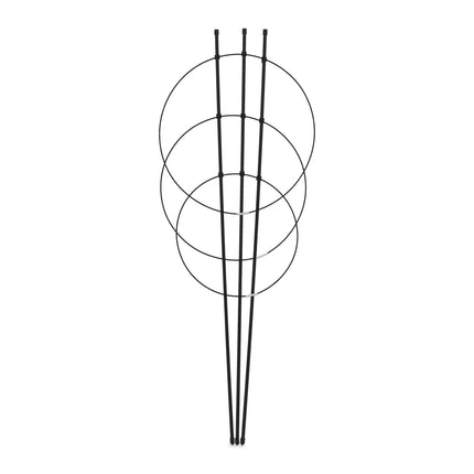 Augalų atrama 76 cm juoda, 2 vnt. rinkinys