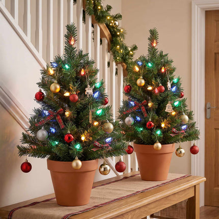 Pre-Lit Outdoor Christmas Trees 60 cm Set of 2, Multicolour LEDs, IP44
