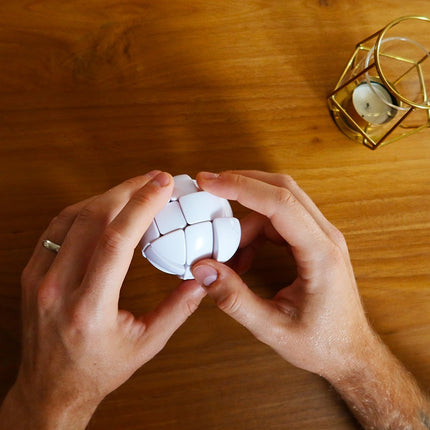 Naujausi žaislai Logic Game Morph'S Egg