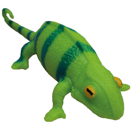 Rep Bics, Chameleonas