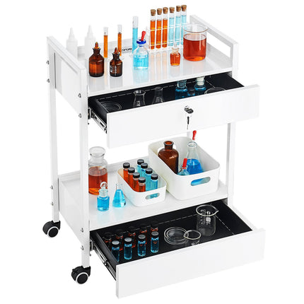 Rolling Lab Cart, 2-Tier Steel, 2 Locking Drawers