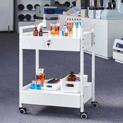Rolling Lab Cart, 2-Tier Steel, 2 Locking Drawers