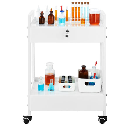Rolling Lab Cart, 2-Tier Steel, 2 Locking Drawers