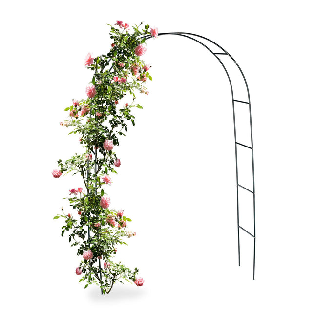 Metalinė rožių arka 240 cm