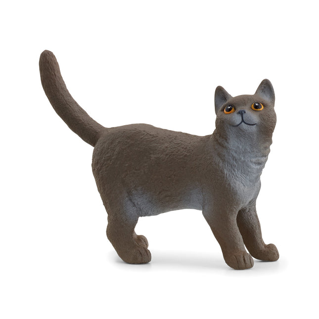 Schleich Farm World Britų trumpaplaukė katė