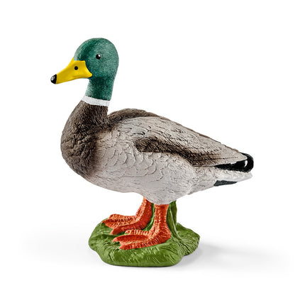 Schleich ūkio pasaulis Drake