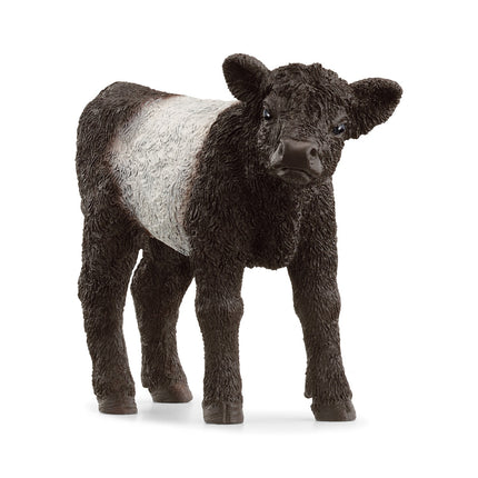 Schleich Farm World Galloway veršelis