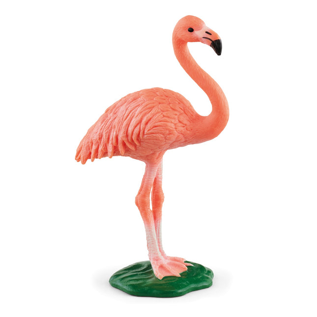 Schleich laukinės gamtos flamingas