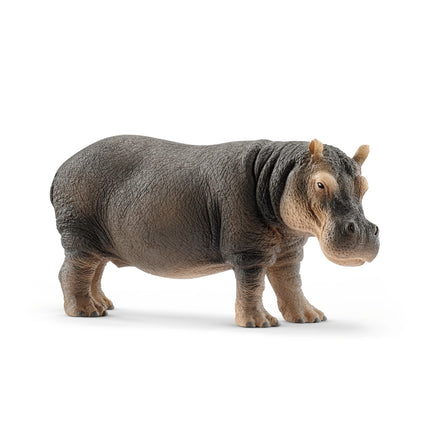 Schleich laukinės gamtos begemotas