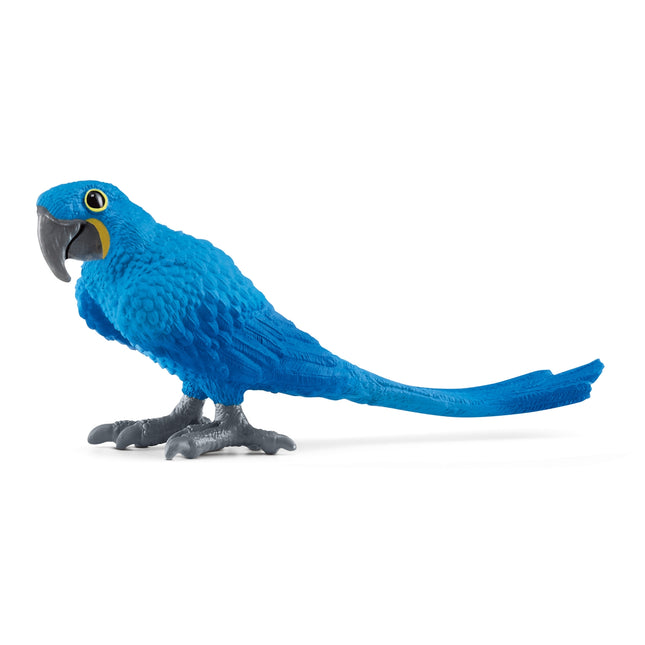 Schleich laukinės gamtos hiacintas ara