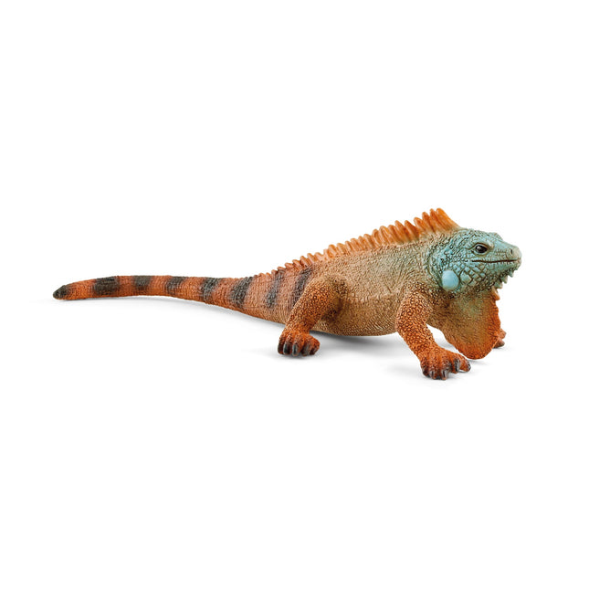 Schleich laukinės gamtos iguana