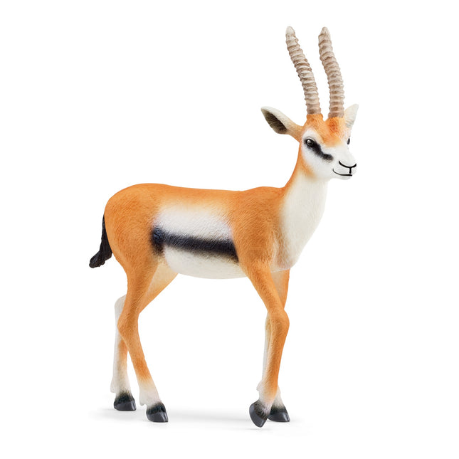 „Schleich Wild Life Thomson Gazelle“.