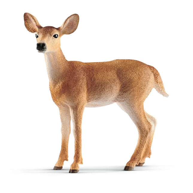 Schleich Wild Life baltauodegis stirna