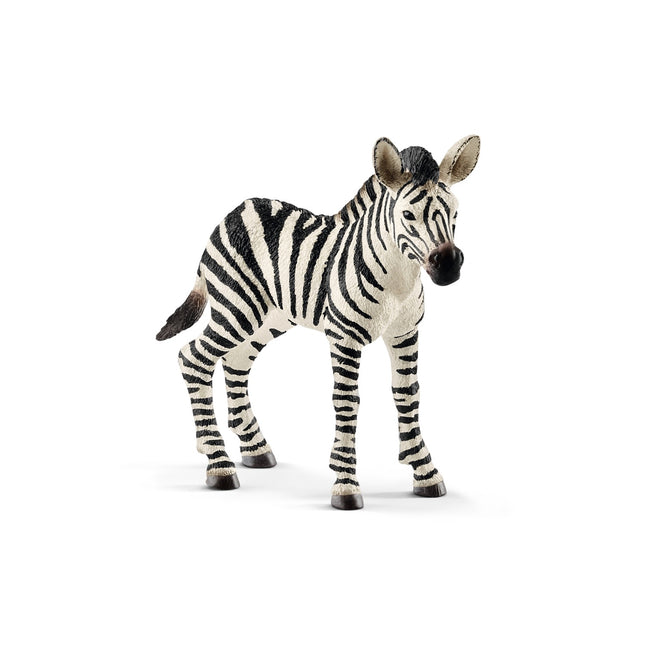 Schleich laukinės gamtos zebro kumeliukas