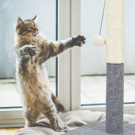 Scratching board for cats