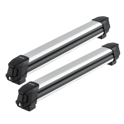 Ski and Snowboard Roof Rack, 2-Pack Locking, 6 Skis