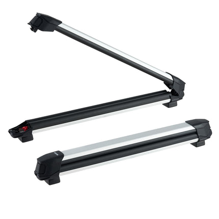 Ski and Snowboard Roof Rack, 2-Pack Locking, 6 Skis