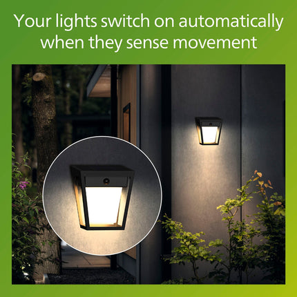 Solar LED Wall Light, Dual Brightness, Black, IP44