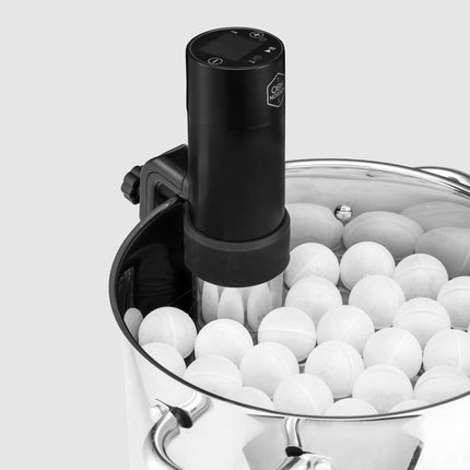 Sous Vide Pro Plus Immersion
