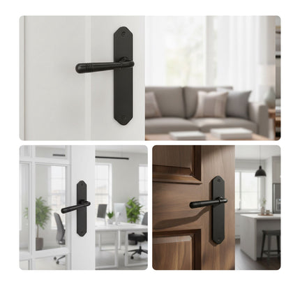 Vintage Black Door Handle Set with Long Backplate