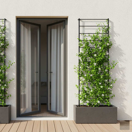 Wall-Mounted Steel Trellis for Climbing Plants, 210 x 76 cm, Black