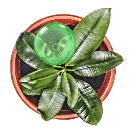 Laistymo kamuoliukai - 5 vnt. rinkinys
