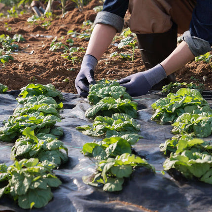Weed Barrier Landscape Fabric, Woven PP 5 x 250 ft