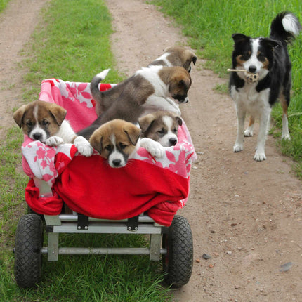 Karučio ratukai 2 vnt.