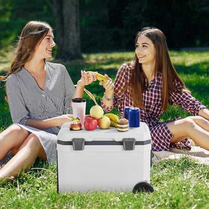 Wheeled Portable Cooler 45 QT, 60-Hour Ice Retention